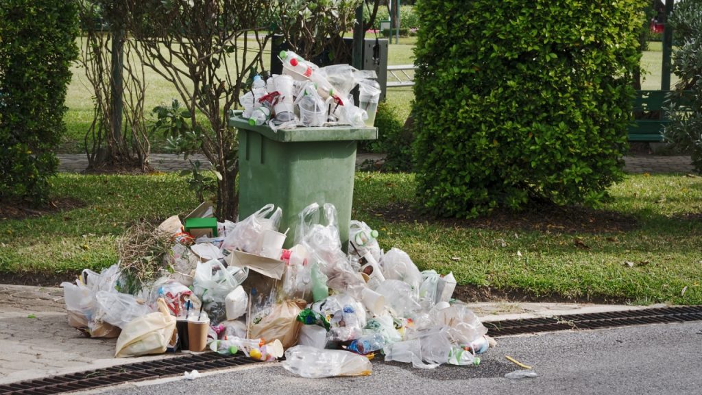 qld skip bin hire inala